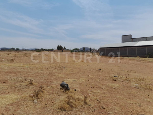 Terreno En Venta,hacienda Nueva Morelos Zacatecas