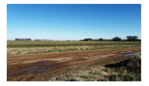 Imagen 12 de 25 de Terreno Campo En Venta Ubicado En Bragado, Resto De La Provincia