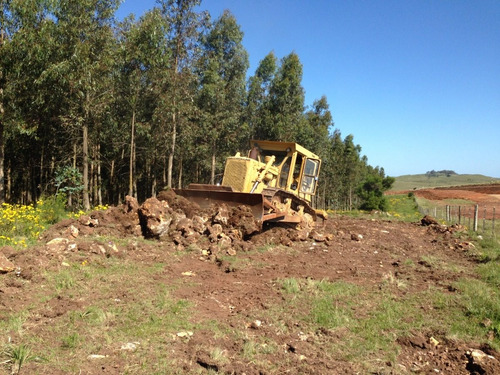 Bulldozer Topador Caterpillar D6d