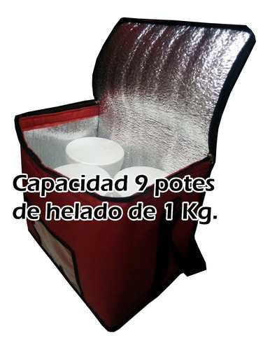 Bolso Térmico Viandas, Sushi, Helado, 48 Lts. Mercado Envios