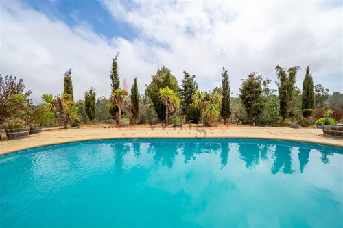 Local Comercial En Venta En Algarrobo