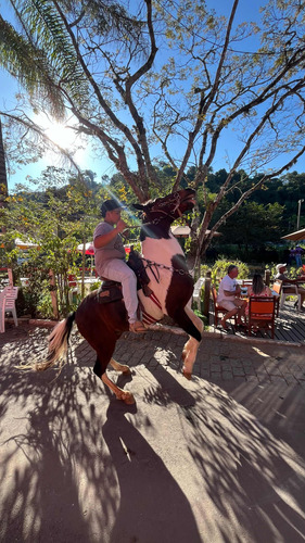 Restaurante Funcionando Excelente Oportunidade
