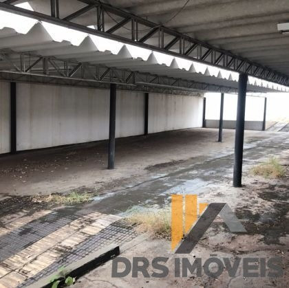 Imagem 4 de 8 de Terreno Em Rua Com 1 Quarto - Ic16-v