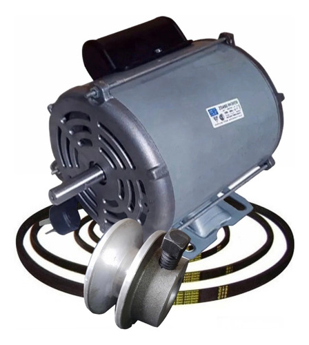 Motor Weg 3/4 Hp Para Hormigoneras + Polea + Correa