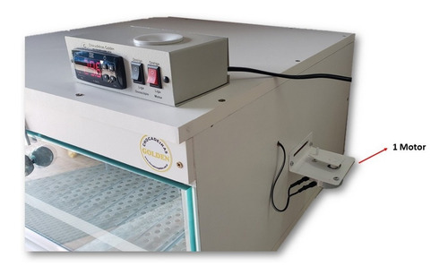 Chocadeira 100 Ovos Automática Termostato Dig C/ Ovoscópio