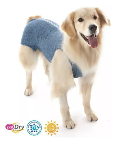 Ropa Post Quirúrgica Perro Castración Macho Duo Dry Azul 13
