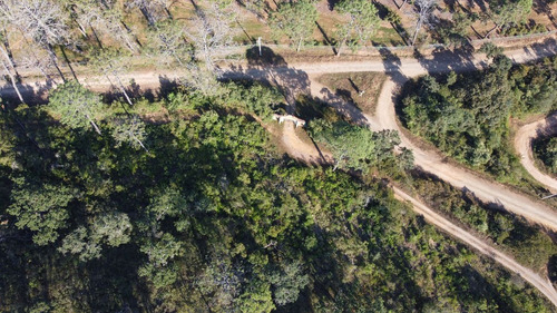 Terrenos En Venta En El Bosque Cercano A Tapalpa, Sayula Y San Gabriel