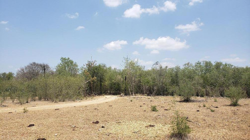 Terreno En Venta Rancho La Potranca Cadereyta Nuevo Leon