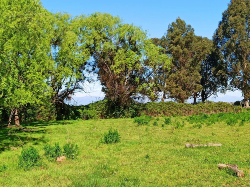 Terreno Agrícola De 6,8 Ha En Venta En San Clemente
