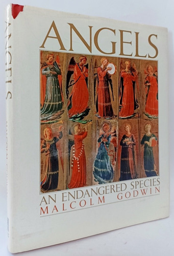 Angels Malcolm Godwin (inglés)