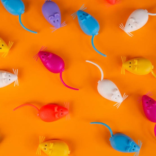 Bote De Ratones De Plástico Guarda Dientes Con 100 Piezas