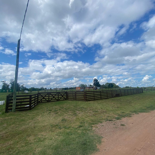 Espectacular Terreno De 1280 M2 En Zona Autobalsa