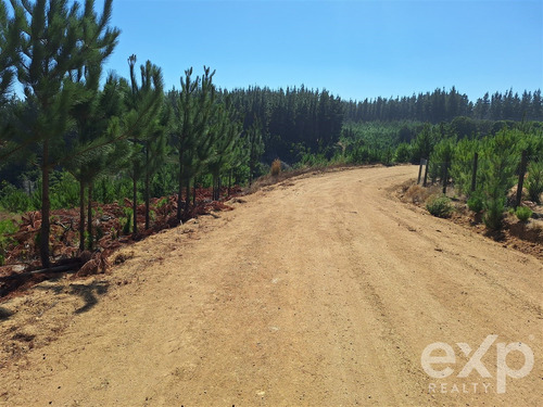 Sitio Vista Amplia En Venta En Pichilemu