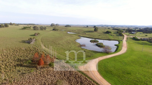 Venta De Excelente Campo - Chacra Maritima - La Barra - Punta Del Este