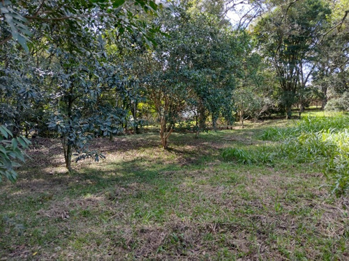 Chácara 6.000 M² - Vila Imperial - Gravataí - Rs - 2400 - 68236631