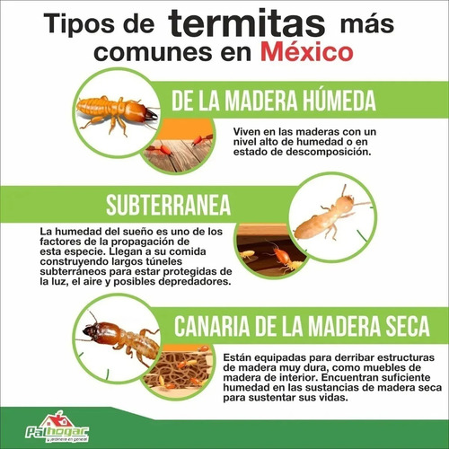 Termidor Insecticida Termitas 1lt