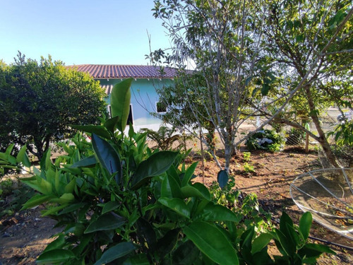 Imagem 13 de 15 de Casa Para Venda Em Piên, Trigolândia, 3 Dormitórios, 2 Banheiros, 10 Vagas - Pie2200_1-2209259