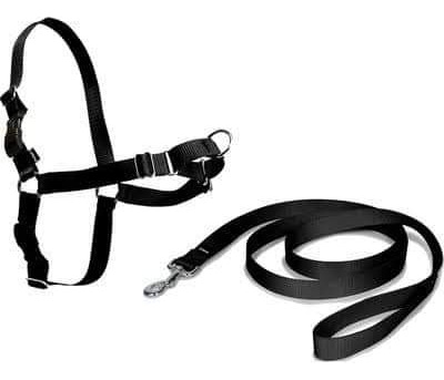 Arnés Easy Walk. Talla S 38 A 51 Cm Antijalones Para Perros