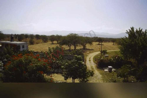 Venta De Increíble Rancho Al Mejor Precio En Tetecala, Morelos,ideal Para Inversionistas Y Ganad...