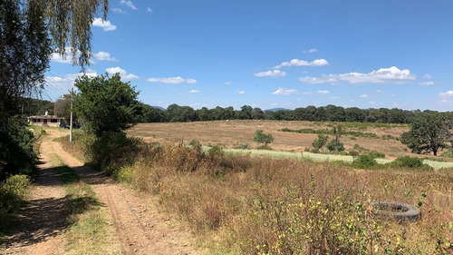 Imagen 6 de 13 de Venta De Terreno En San Martin Cachihuapan, Villa Del Carbón
