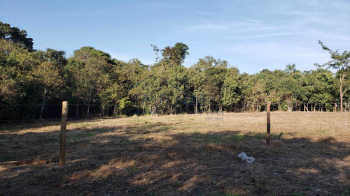 Imagem 14 de 30 de Chácara, Campo Alto, Pirassununga - R$ 180 Mil, Cod: 10131719 - V10131719