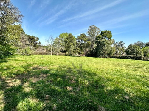 Terreno Lote  En Venta En El Remanso, Exaltación De La Cruz, G.b.a. Zona Norte