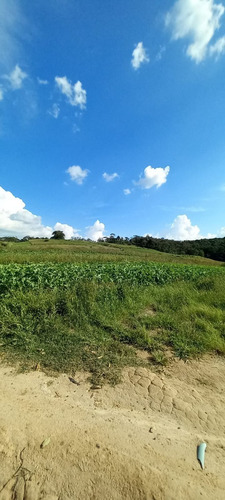 Imagem 14 de 22 de 03o- Terreno Com Facilidade No Pagamento
