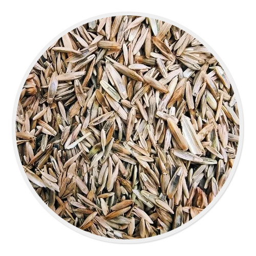 Semilla De Pasto Forrajero Ryegrass Var. Kentaur (5 Kg)