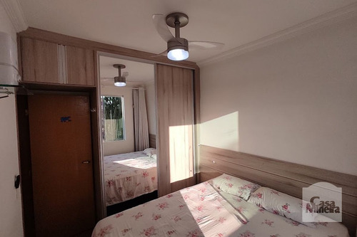 Imagem 5 de 15 de Apartamento À Venda No Linda Vista - Código 368084 - 368084