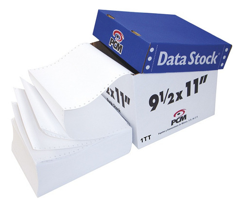 Papel Stock Pcm Forma Continua 9 ½ X 11 1tt 3000 Juegos