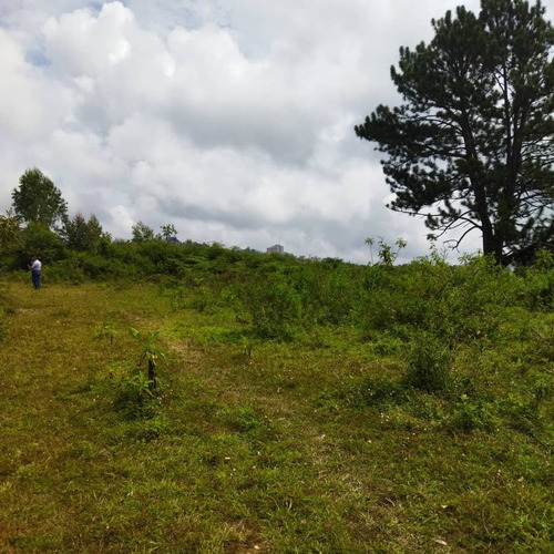 Imagen 3 de 4 de Terreno Plano En San Antonio De Los Altos, Miranda