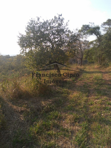Imagem 2 de 7 de Sítio Sítio À Venda Em Cunha/sp - St096