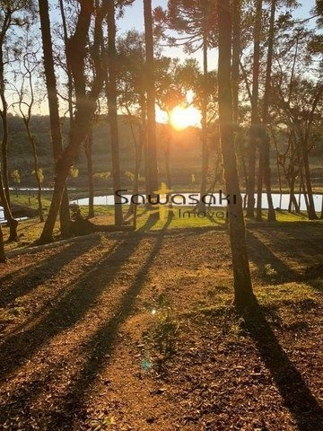 Imagem 10 de 12 de Chácara Para Venda - 5797