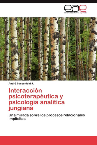 Libro: Interacción Psicoterapéutica Y Psicología Analítica J