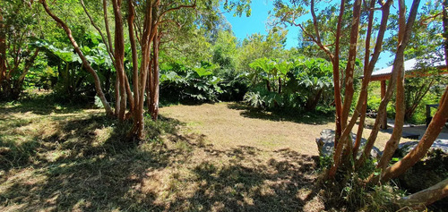 Se Vende Parcela Con Cabaña Lago Riñihue (173243)