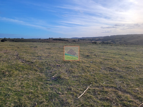 Imagen 8 de 26 de 70 Hectáreas De Campo Ganadero Corte De La Leña