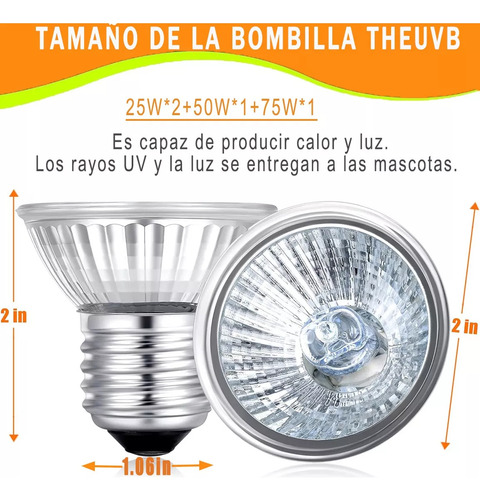Heat Focus Para Répteis, Tartarugas, Lâmpada Uva Uvb, 4 Unid