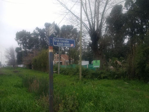 Imagen 2 de 2 de Oportunidad! 2 Lotes Sobre Ruta 25 Y Gral. Lavalle - Ideal Inversores!