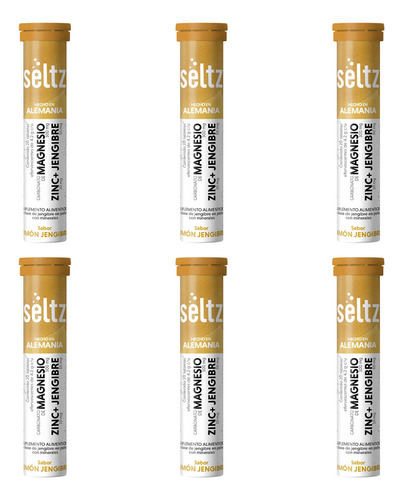 Magnesio+zinc+jengibre Seltz 6 Pack Tabletas Efervescentes