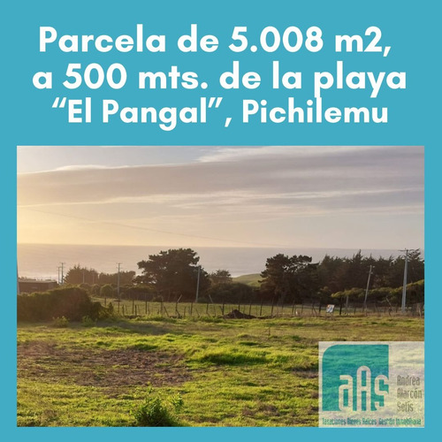 Parcela De 5008 M2, Con Vista Al Mar, El Pangal, Pichilemu