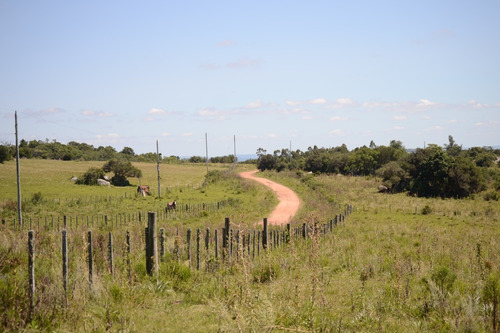 Campo 14.5 Hs Casa 2 Dormitorios , Luz Eléctrica, Cañada