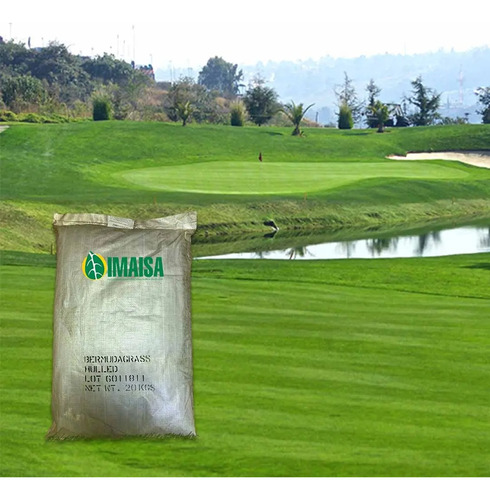 1 Kg De Semillas De Pasto Bermuda ( Cynodon Dactylon )