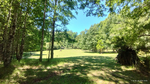 En Venta, Hermoso Campo Cercano A Lican Ray (94750)
