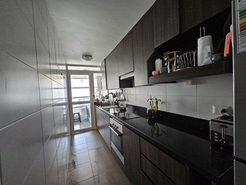Mirador Playa Brava Arriendo Departamento