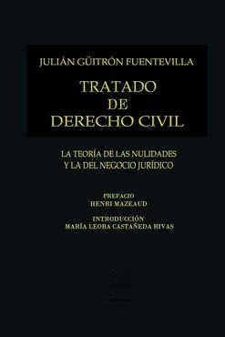 Tratado De Derecho Civil Tomo Iv