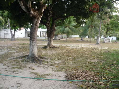 Imagem 13 de 15 de Terreno Residencial À Venda, Paupina, Fortaleza. - Te0068