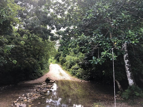 Terreno De 190 Hectáreas Cerca De Palenque
