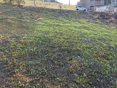 Imagem 4 de 11 de Terreno Pronto Para Construir - Santa Martha Residencial