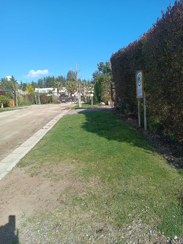 Imagen 21 de 22 de Arriendo En Maitencillo