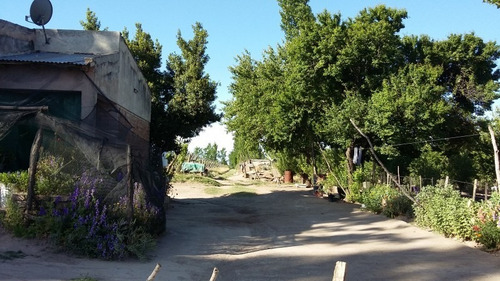 Imagen 4 de 14 de Finca En Las Paredes - 10 Hectareas 1º Regante